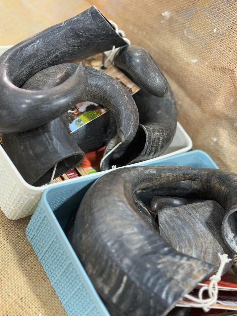CUERNO DE BÚFALO