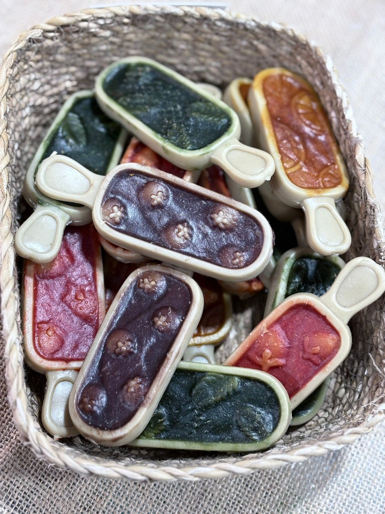 PALETAS HELADAS DE FRUTAS