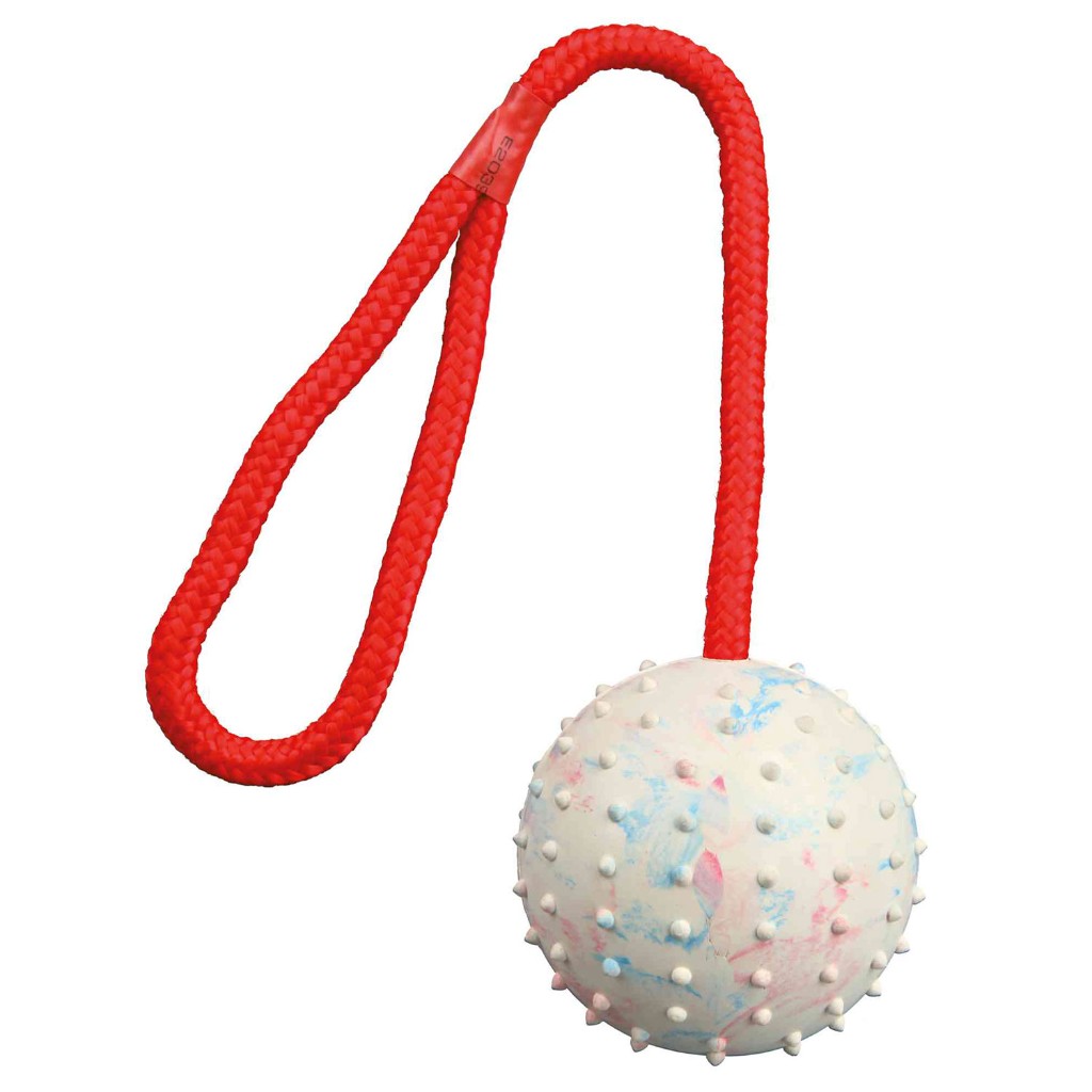 PELOTA CON CUERDA 