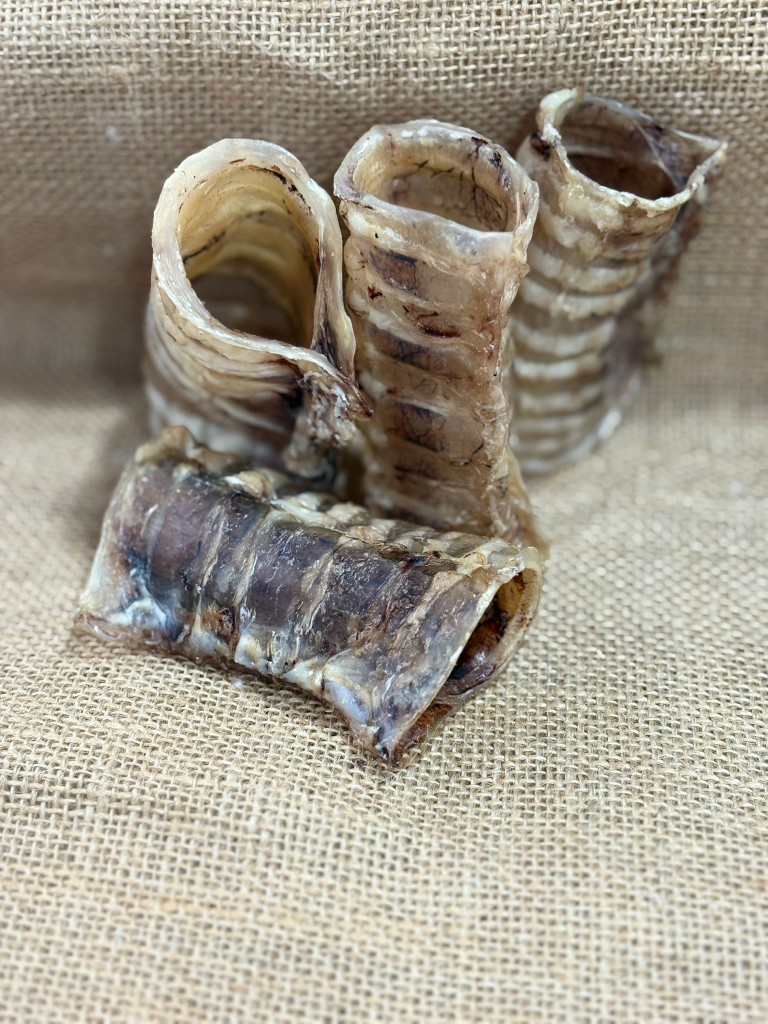 TRAQUEA PEQUEÑA